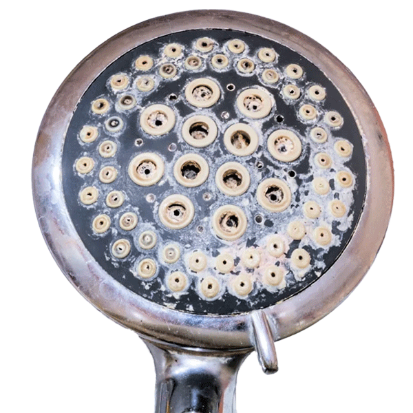 limescale-showerhead